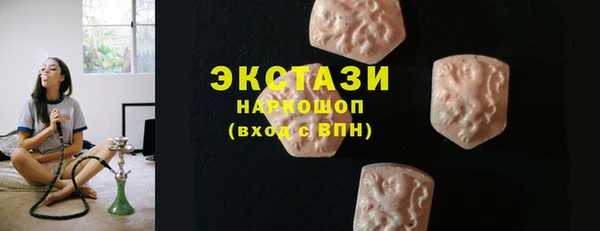индика Усинск
