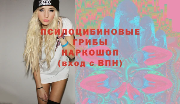 шишки Новокубанск